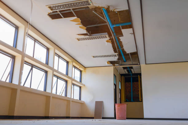 Best Water damage restoration near me  in Country Clu, MO