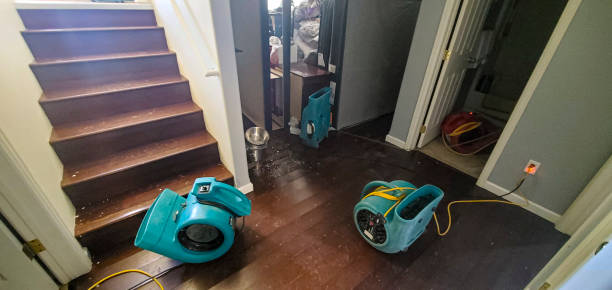 Best 24/7 water damage repair  in Country Clu, MO