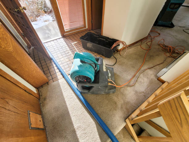 Professional Water damage restoration in Country Clu, MO