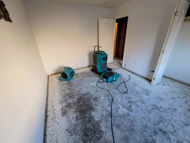 Reliable Country Clu, MO Water damage restoration Solutions
