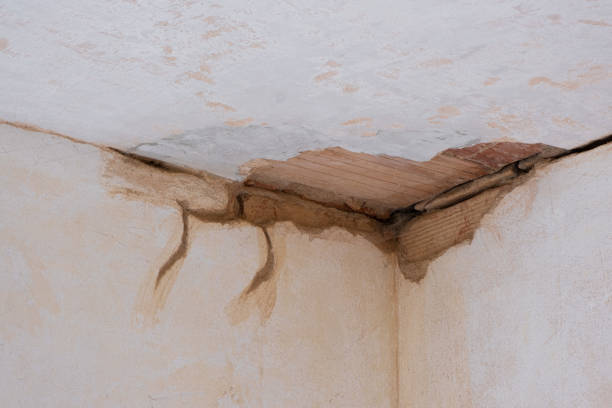Best 24/7 water damage repair  in Country Clu, MO