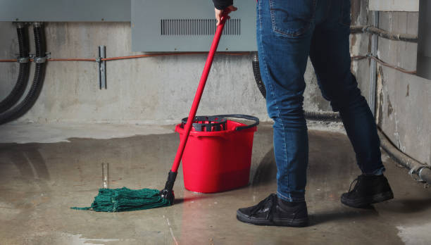  Country Clu, MO Water damage restoration Pros
