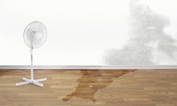 Best Residential water damage restoration  in Country Clu, MO
