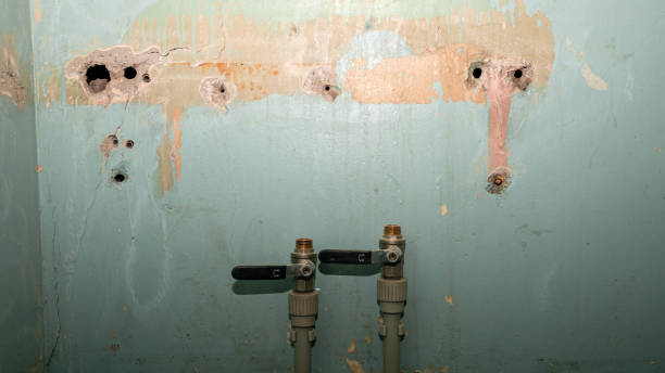 Best Commercial water damage restoration  in Country Clu, MO