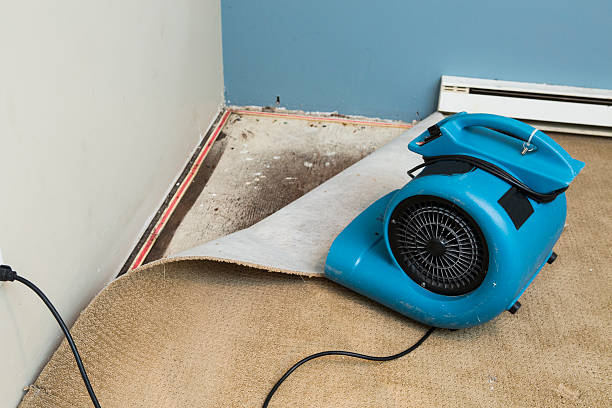 Best Flooded house restoration  in Country Clu, MO